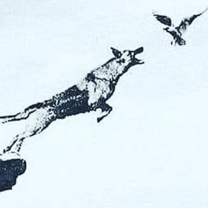 Meet your Posher, Renaye